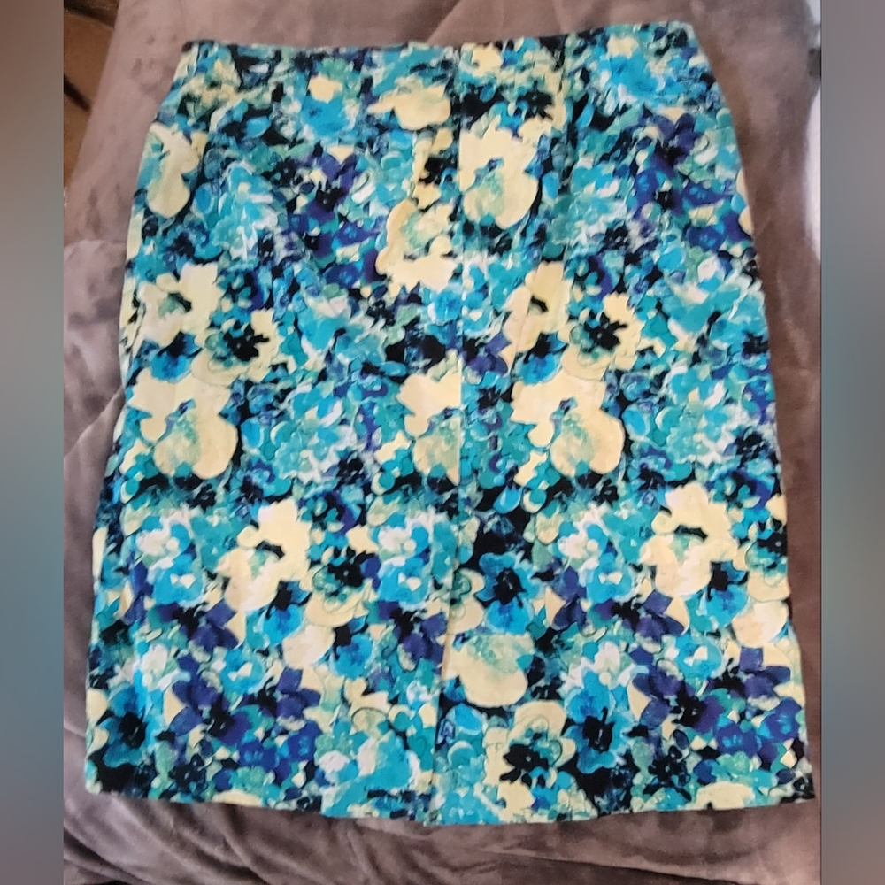 Ann Taylor skirt